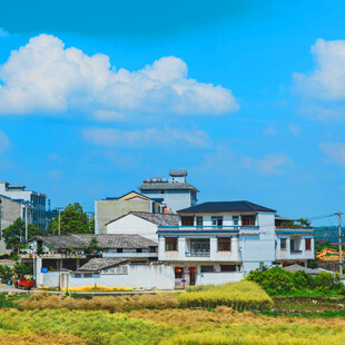 乡村田园景致