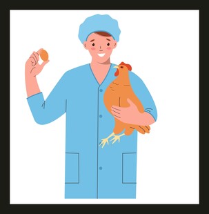 兽医手持食物与鸡互动