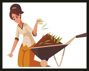 女子推独轮车运送丰收作物