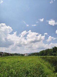 农田乡村美景