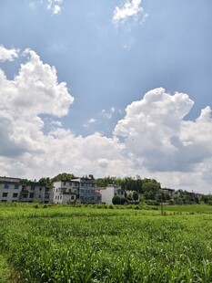 乡村美景