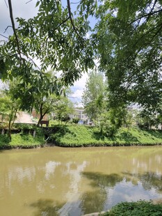 河边绿化