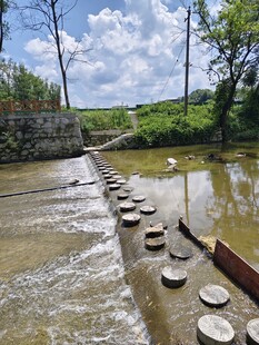 河道美景
