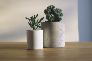 简约风桌面绿植摆件