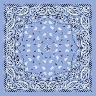 佩斯利花纹