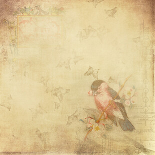 复古风小鸟栖息画面