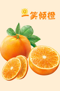 橙子