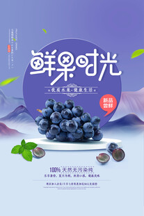 鲜果时光蓝莓海报