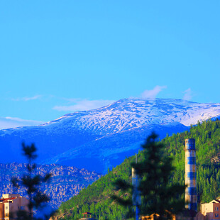 雪山下的山林景致