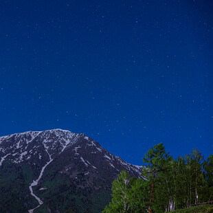 巍峨雪山与葱郁林木景观