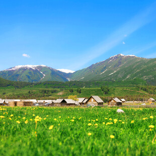 草原村落与远山美景
