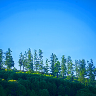 山坡绿树蓝天美景