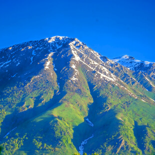 雪山下的翠绿山峦