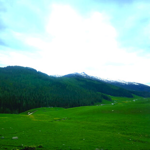 草原青山美景