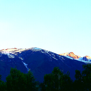 雪山与绿树相映成趣