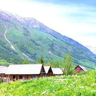 山间木屋旁的绿野美景