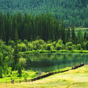 湖畔森林美景