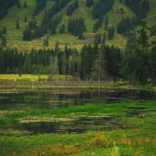 山间湖畔美景