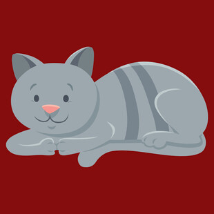 趴着的条纹灰猫