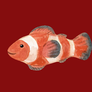 橙白条纹小丑鱼插画