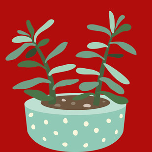 盆栽绿植简约可爱风