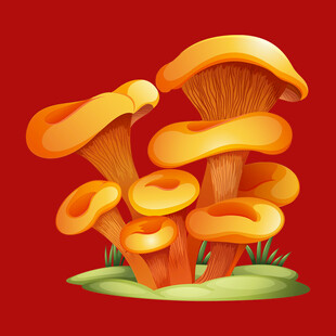 橙色蘑菇插画