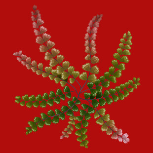 红色背景下的多彩螺旋植物