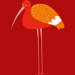 红色插画朱形象