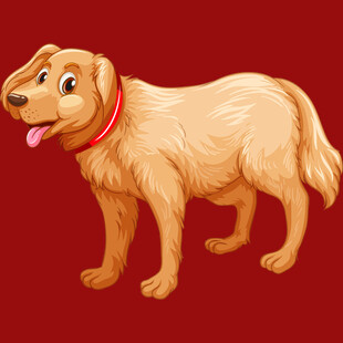 可爱金毛犬插画