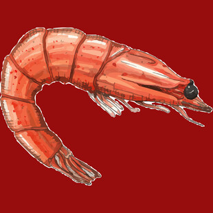 红色大虾插画