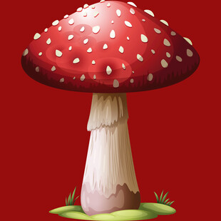 红色斑点蘑菇插画