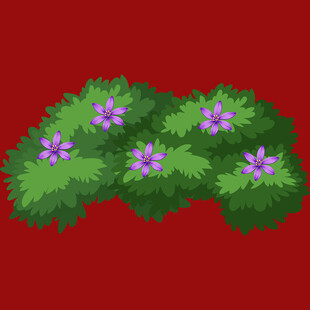 红色背景上的紫花绿植