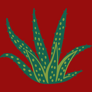 手绘芦荟植物图案