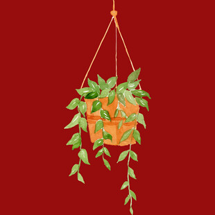 悬挂绿植盆栽生机盎然