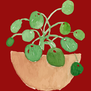 手绘盆栽植物插画
