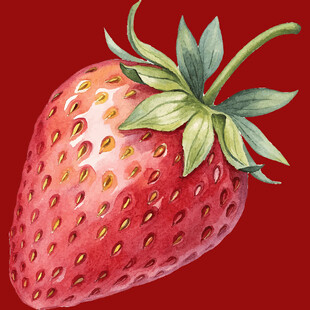 鲜红饱满草莓插画