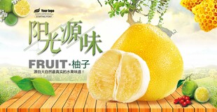 阳光味柚子水果展示