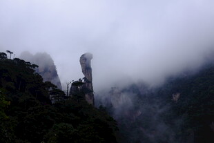 黄山云雾