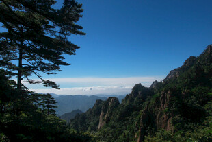 青山绿树间的壮阔山景