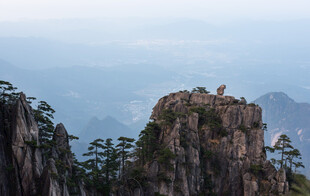 黄山奇峰美景