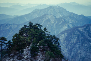 武当山清晨雪景风光