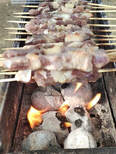 炭火上的美味烤肉串