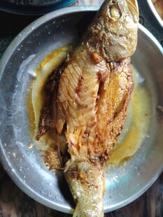 煎鱼