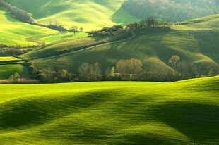 翠绿山丘田园风光美景
