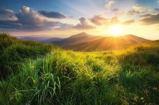 日出下的山间翠绿草地