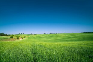 翠绿田野蓝天映衬的美景