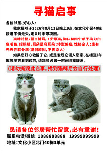 寻猫启示
