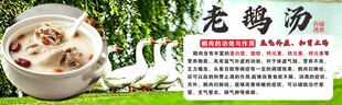 香浓老鸽汤 滋补好滋味