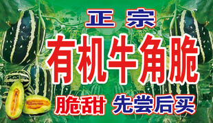 正宗有机牛角脆  先尝后买  
