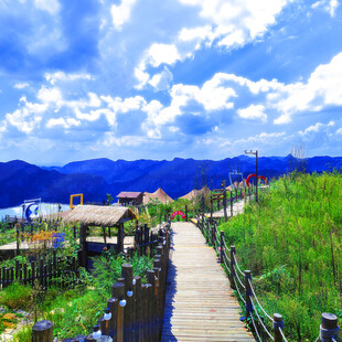 山间木栈道旁的美丽景致